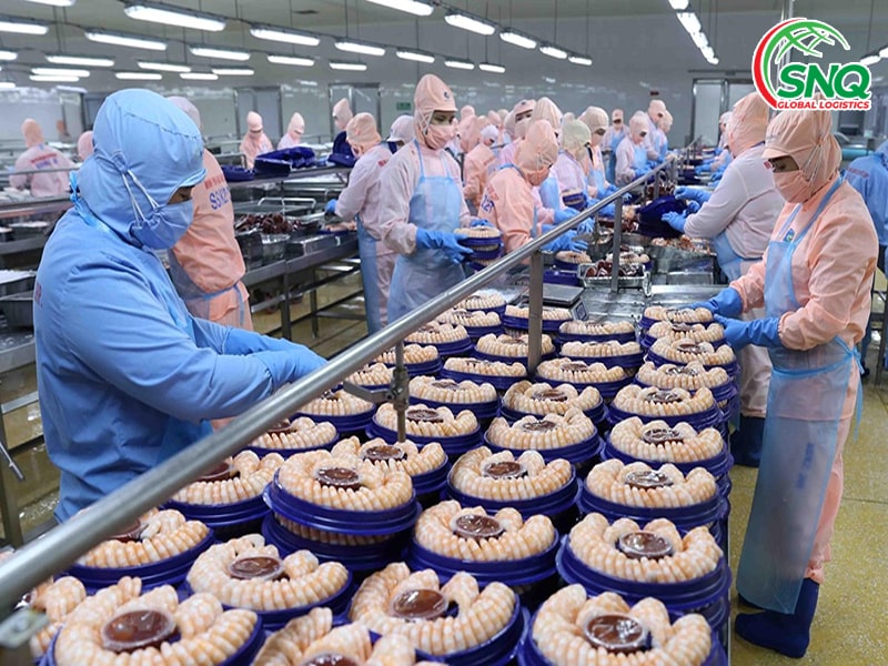 Sản xuất xuất khẩu tự chủ