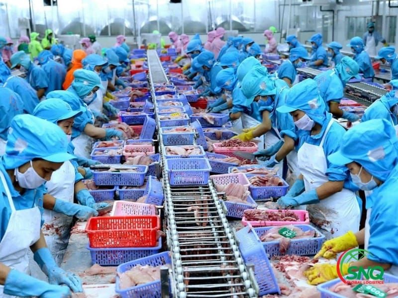 Thủ tục hải quan hàng sản xuất xuất khẩu đầy đủ từ A-Z